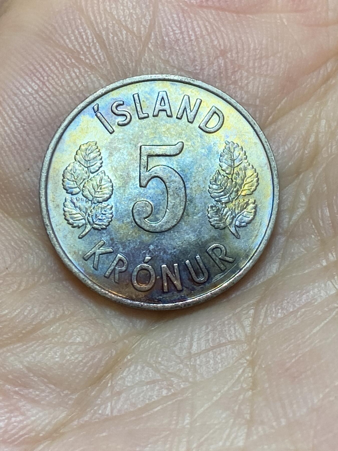 2025年第八十九场(总第一百一十五场）外国好品散币(免佣金) 冰岛🇮🇸1973年5克朗(共和国时期第一套)