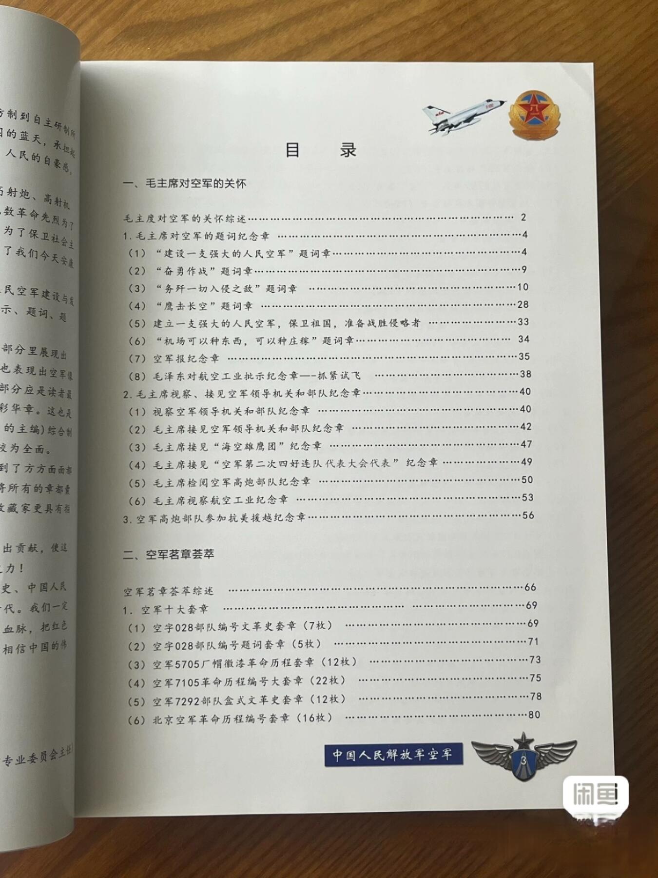 毛主席像章选集空军卷