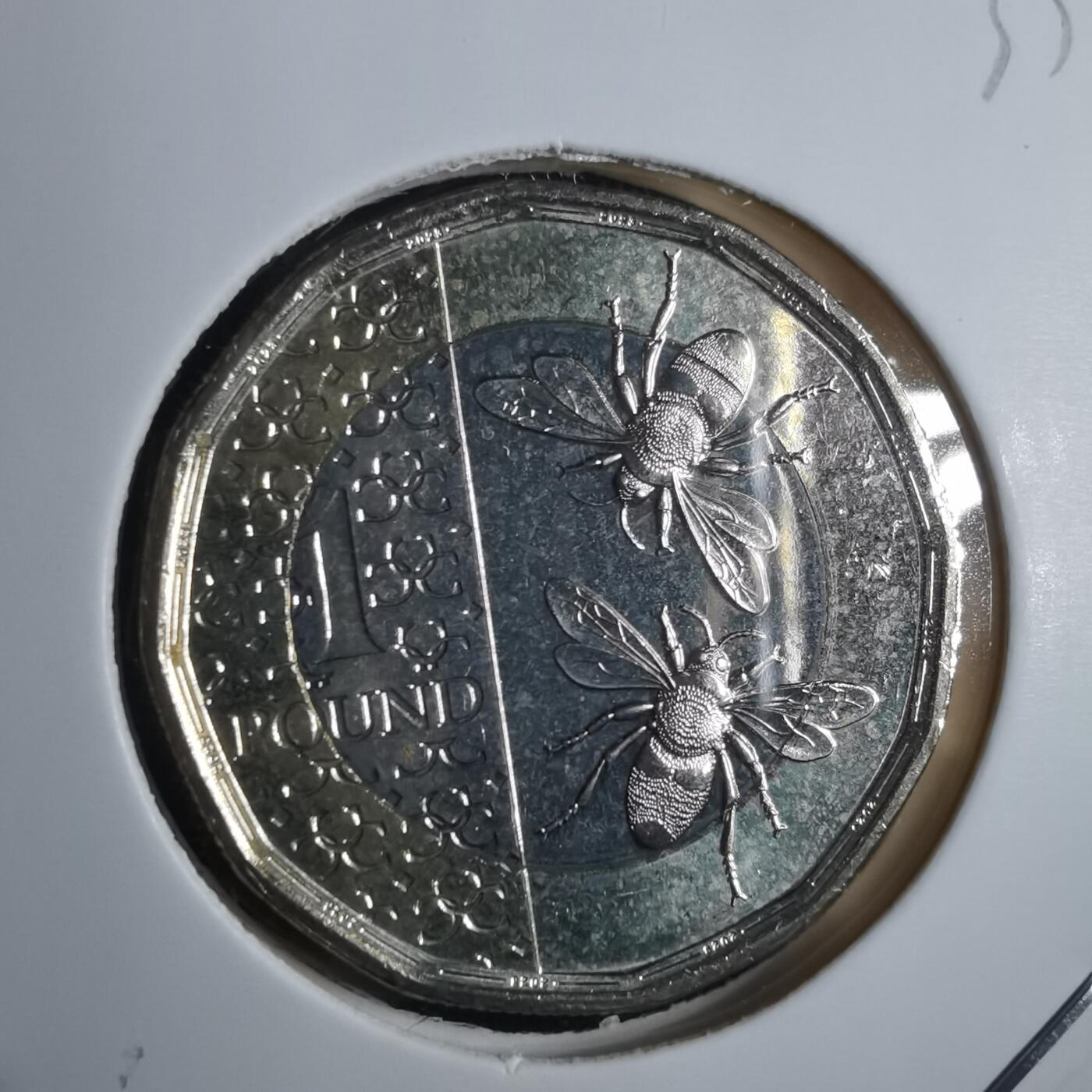 沼泽如烟--第835场 英国2023年一磅