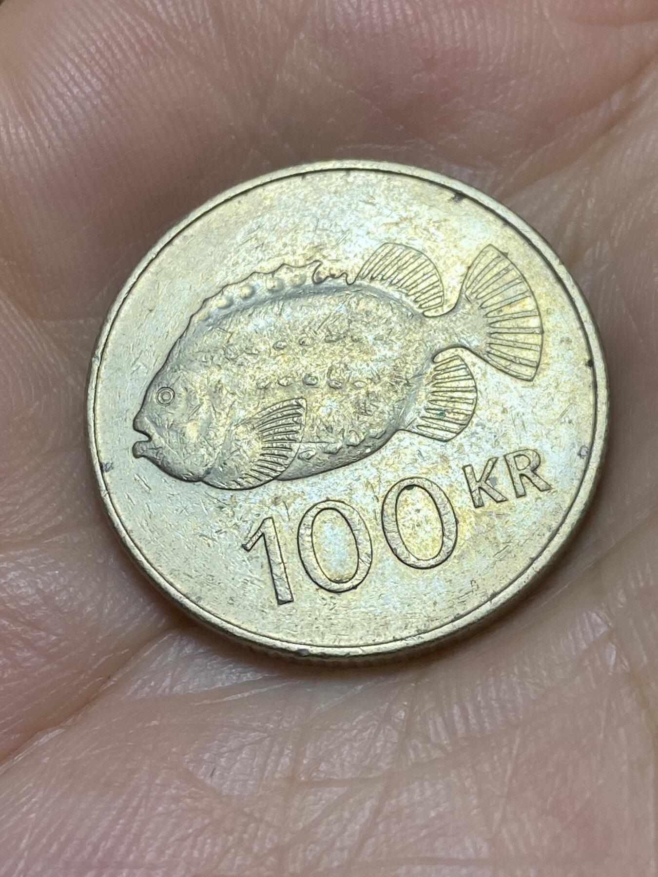 2025年第八十九场(总第一百一十五场）外国好品散币(免佣金) 冰岛🇮🇸1995年100克朗(流通硬币最大面值，首发年)