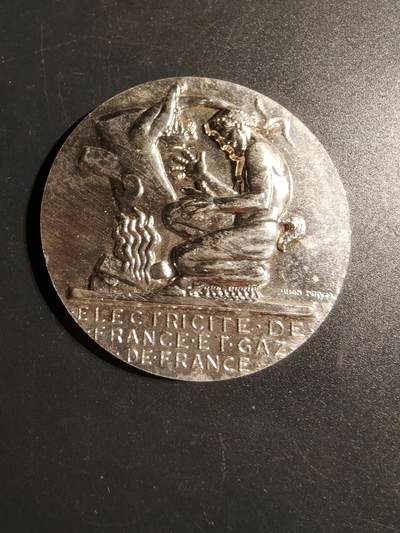 老王徽章第148期 - 法国电力公司镀银大铜章   名家Dropsy作品   直径54mm   重量71.4g