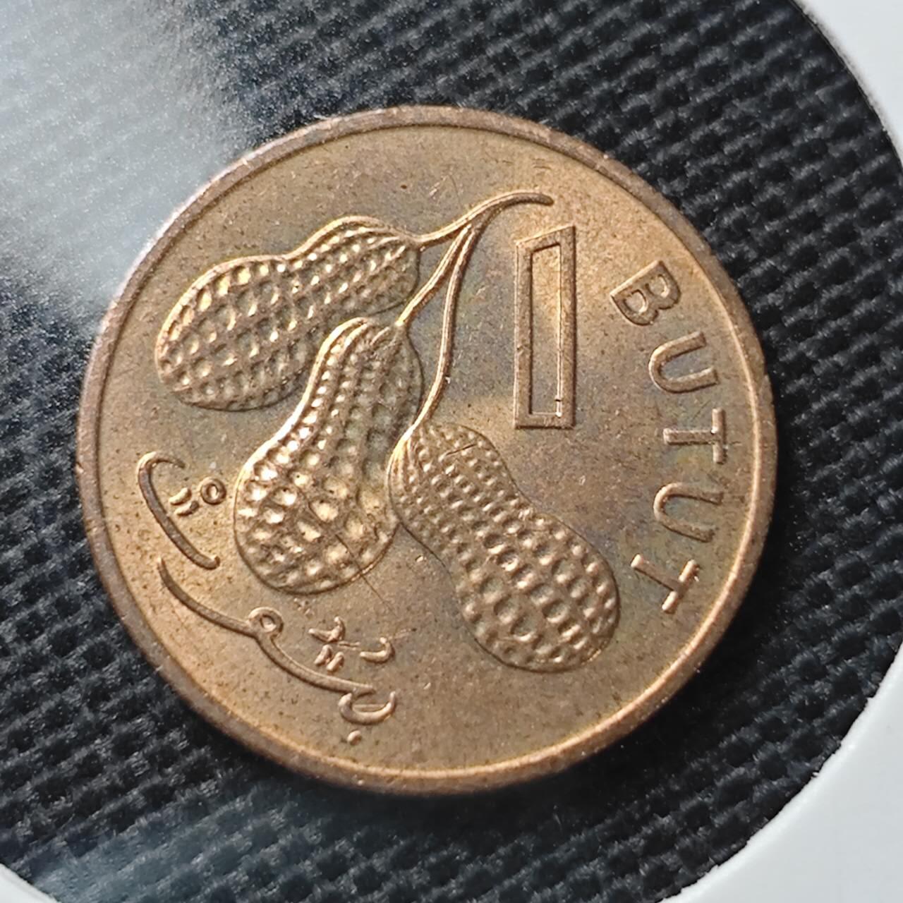 KK钱币收藏小铺 第334期 2月预留时间 周末发货  1971冈比亚1分铜币 好品
