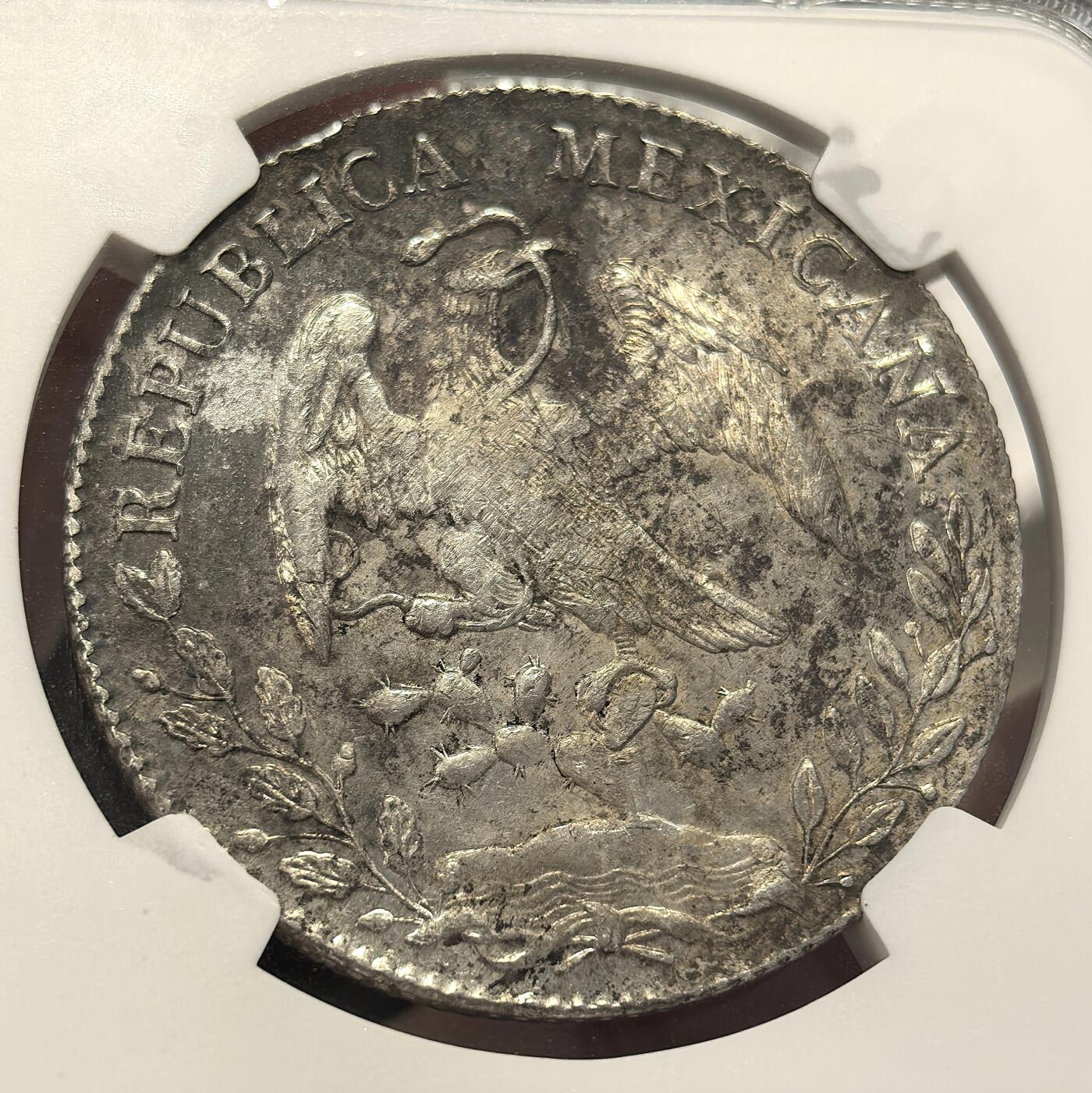 博洋堂世界钱币拍卖第139期（全场包邮） NGC UNC 墨西哥1894年MO AM版花边鹰洋，UNC原味