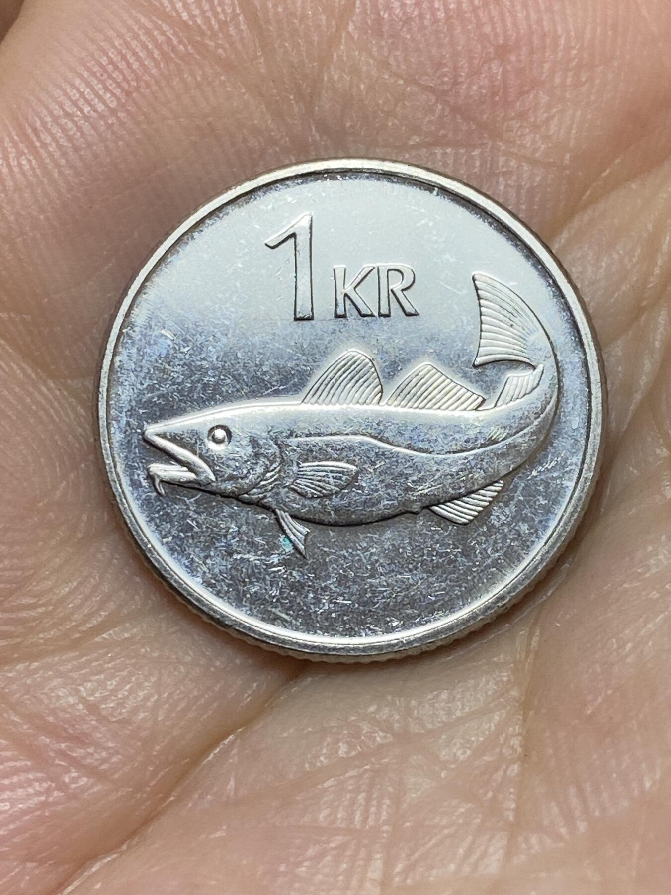 2025年第八十九场(总第一百一十五场）外国好品散币(免佣金) 冰岛🇮🇸2003年1克朗(共和国时期第二套第二版，镀镍钢材质有磁版)