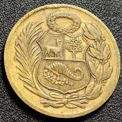 泉币菌-第107场-精品福利场 超大尺寸 秘鲁1963年1索尔大铜币 骆马金鸡纳树 33mm