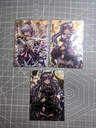 第十六场拍卖 结拍 9月12日晚21点 公益场 无佣金 无手续费 品控放大镜勿拍。卡牌出厂品质全部套膜不包厂瑕 禁止🚫小号抬价 部分卡牌设有底价 大家放心拍 点个关注哈 - 藏无缺璇哥 T画师半粗系列第一季