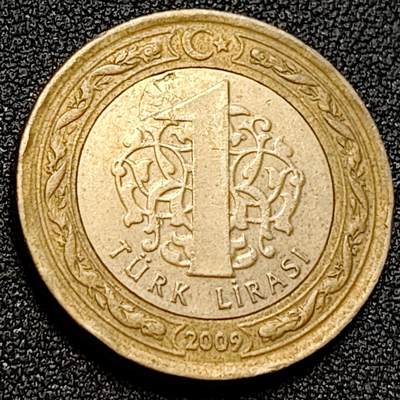 泉币菌-第107场-精品福利场 土耳其1里拉双色币 凯末尔总统 26mm