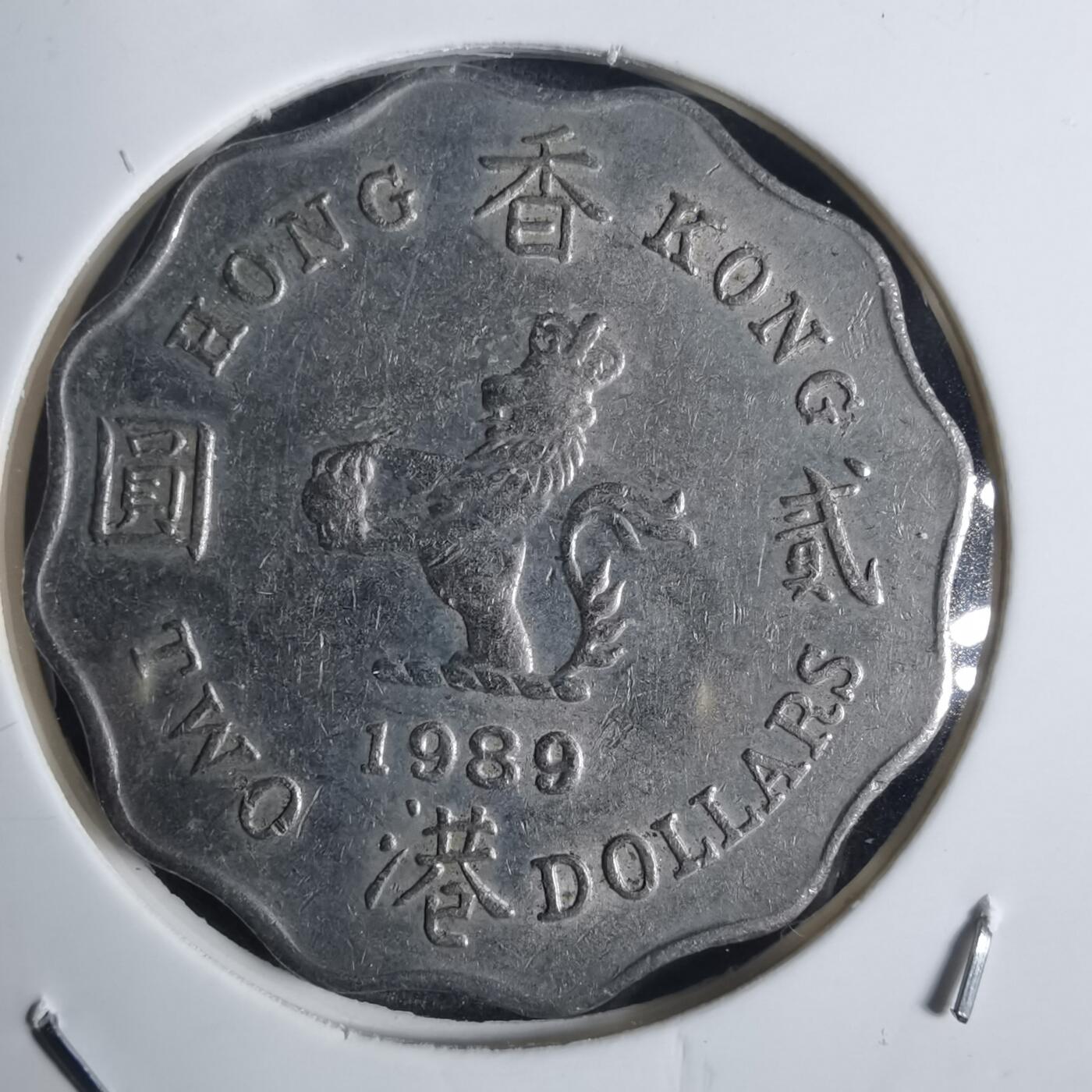 沼泽如烟--第837场 香港1989年二元