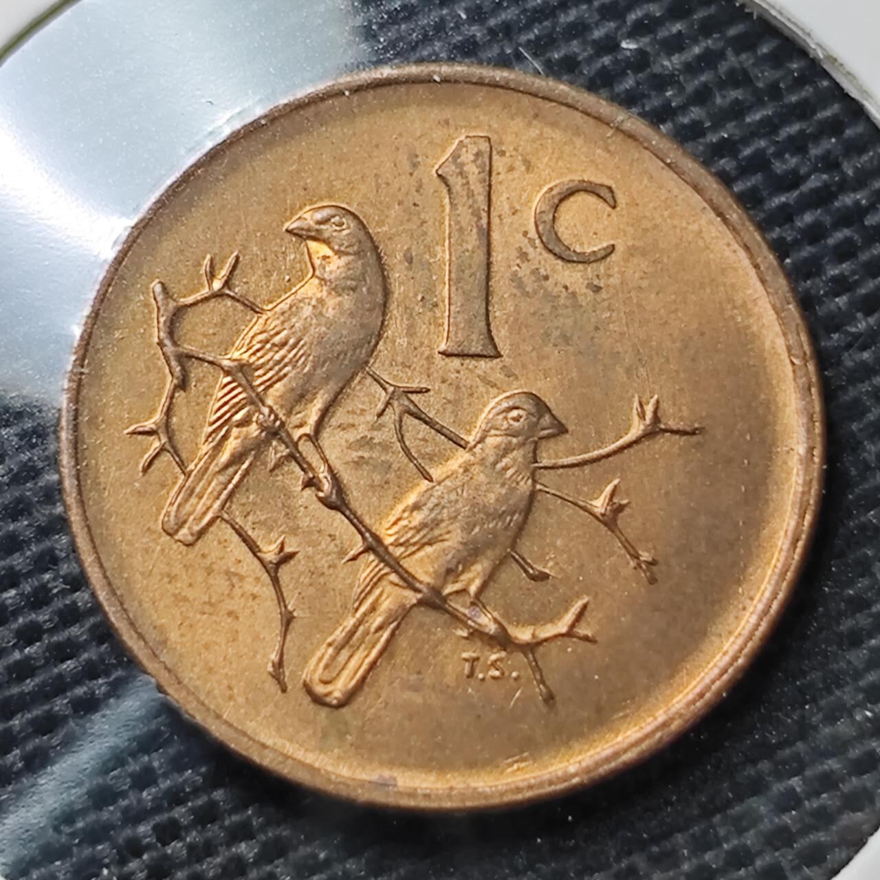 KK钱币收藏小铺 第334期 2月预留时间 周末发货  1977南非1分铜币 好品