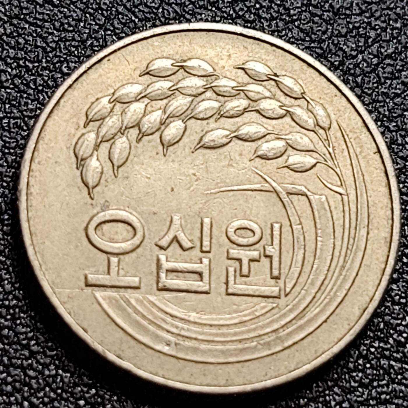 泉币菌-第108场-散币乐园场 。