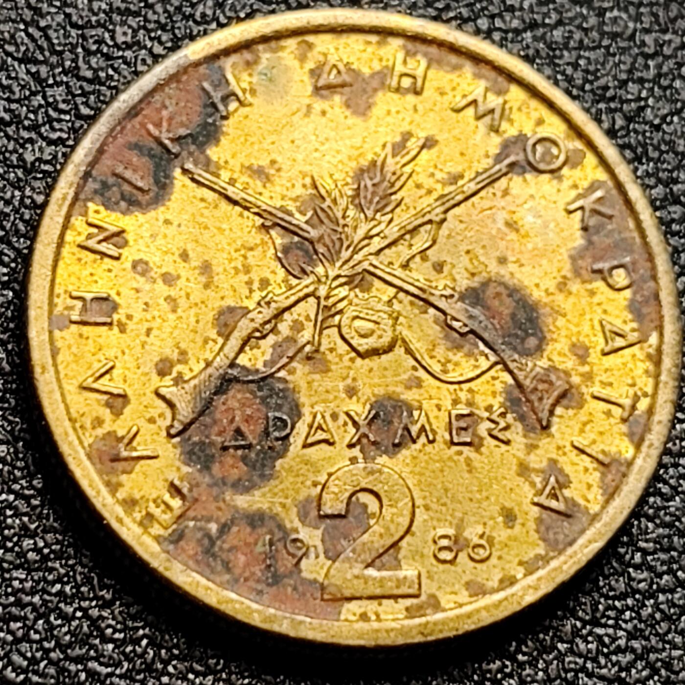 泉币菌-第108场-散币乐园场 。