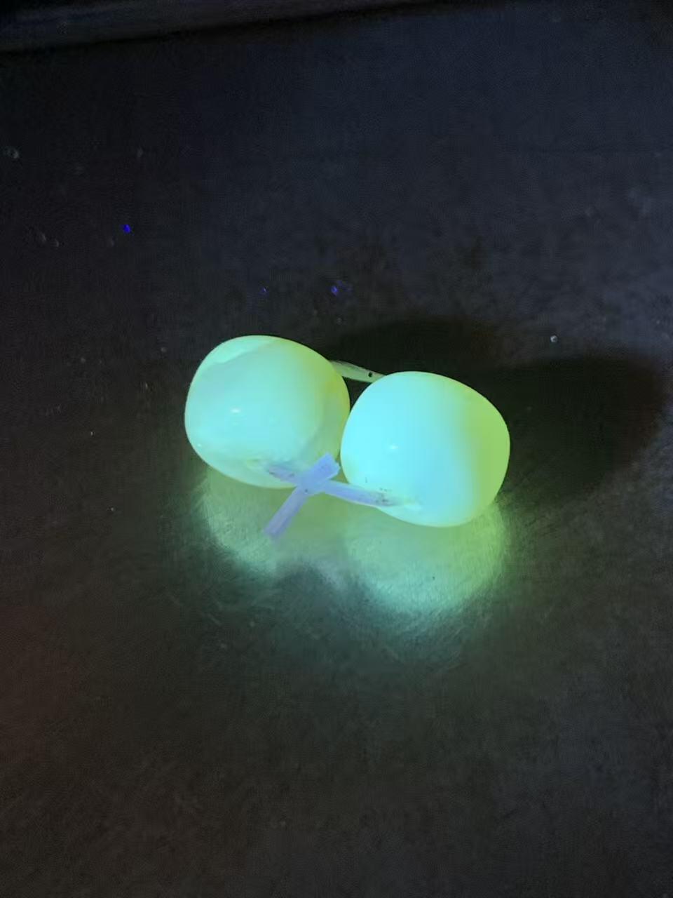 天然乌克兰原矿蜜蜡老形桶珠腰珠两颗！
