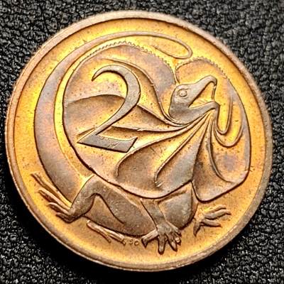 泉币菌-第107场-精品福利场 原光极美 美品 1984年 英属澳大利亚2分铜币 伞蜥蜴斗篷蜥 21.5mm