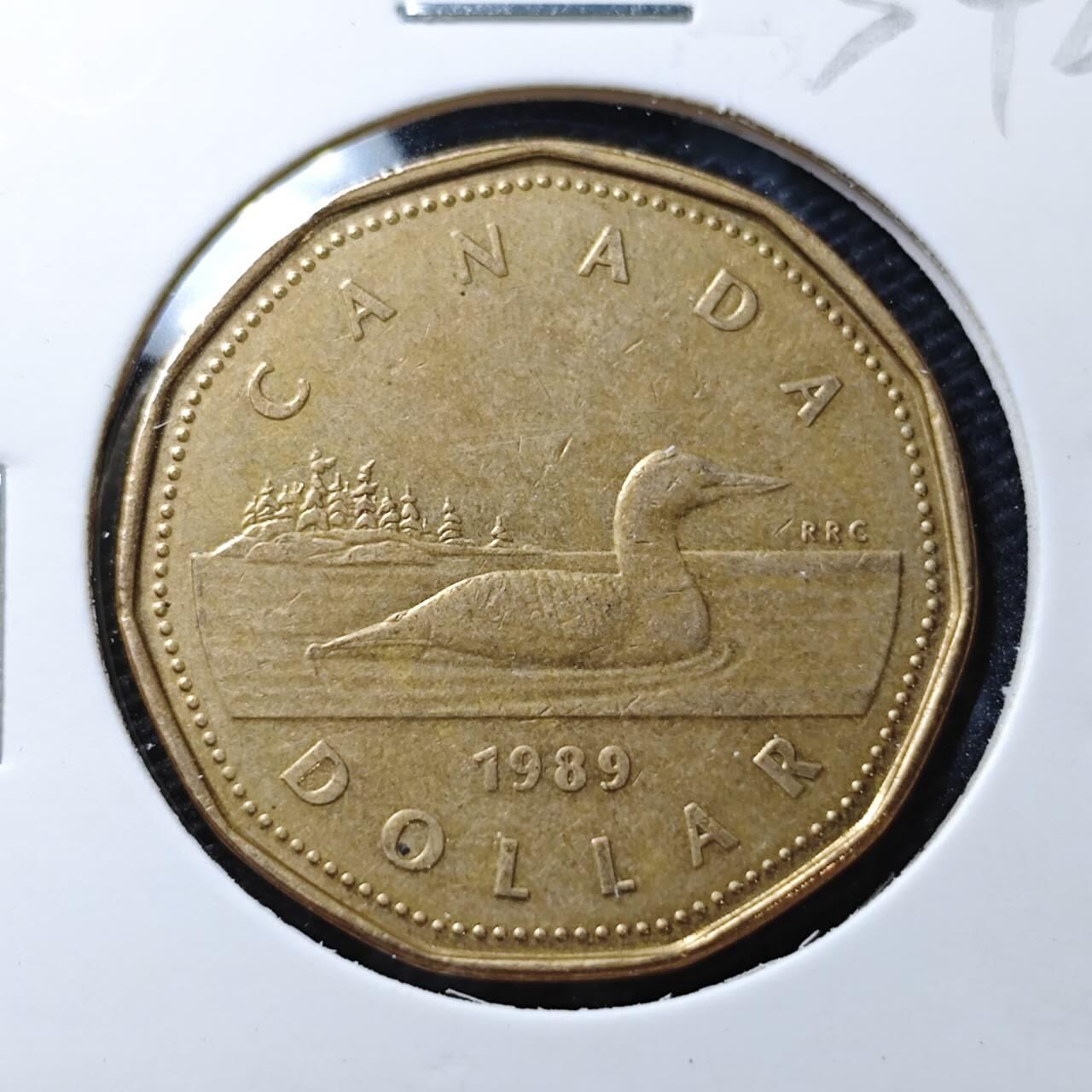 KK钱币收藏小铺 第334期 2月预留时间 周末发货  加拿大1元
