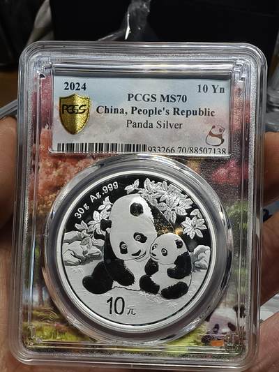 老银元专场（本场部分高分辅币值的收藏） - 熊猫银币，pc评级，插片非常漂亮。（盒有磕）