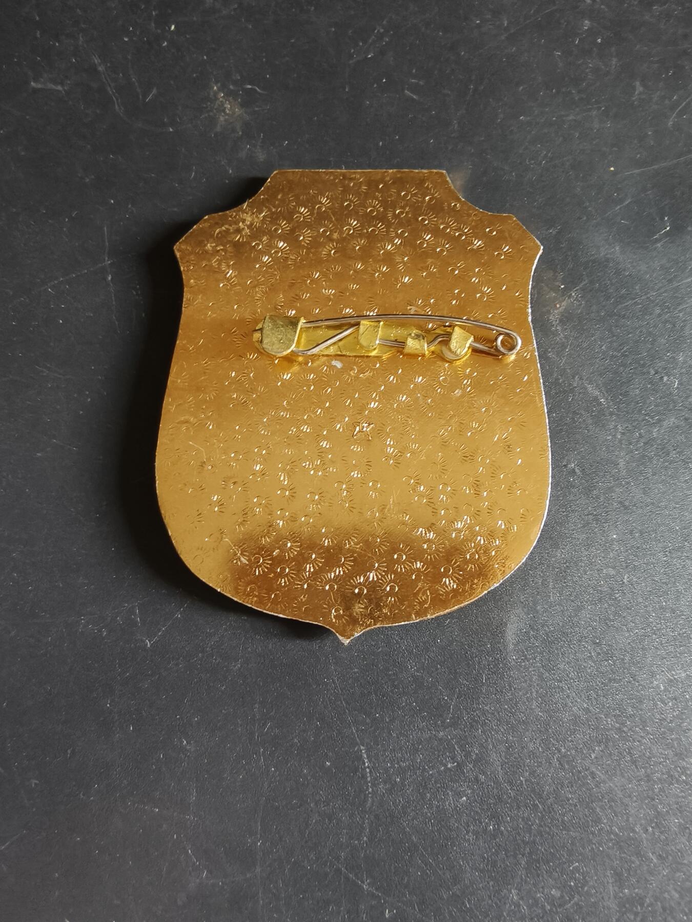 老王徽章第148期