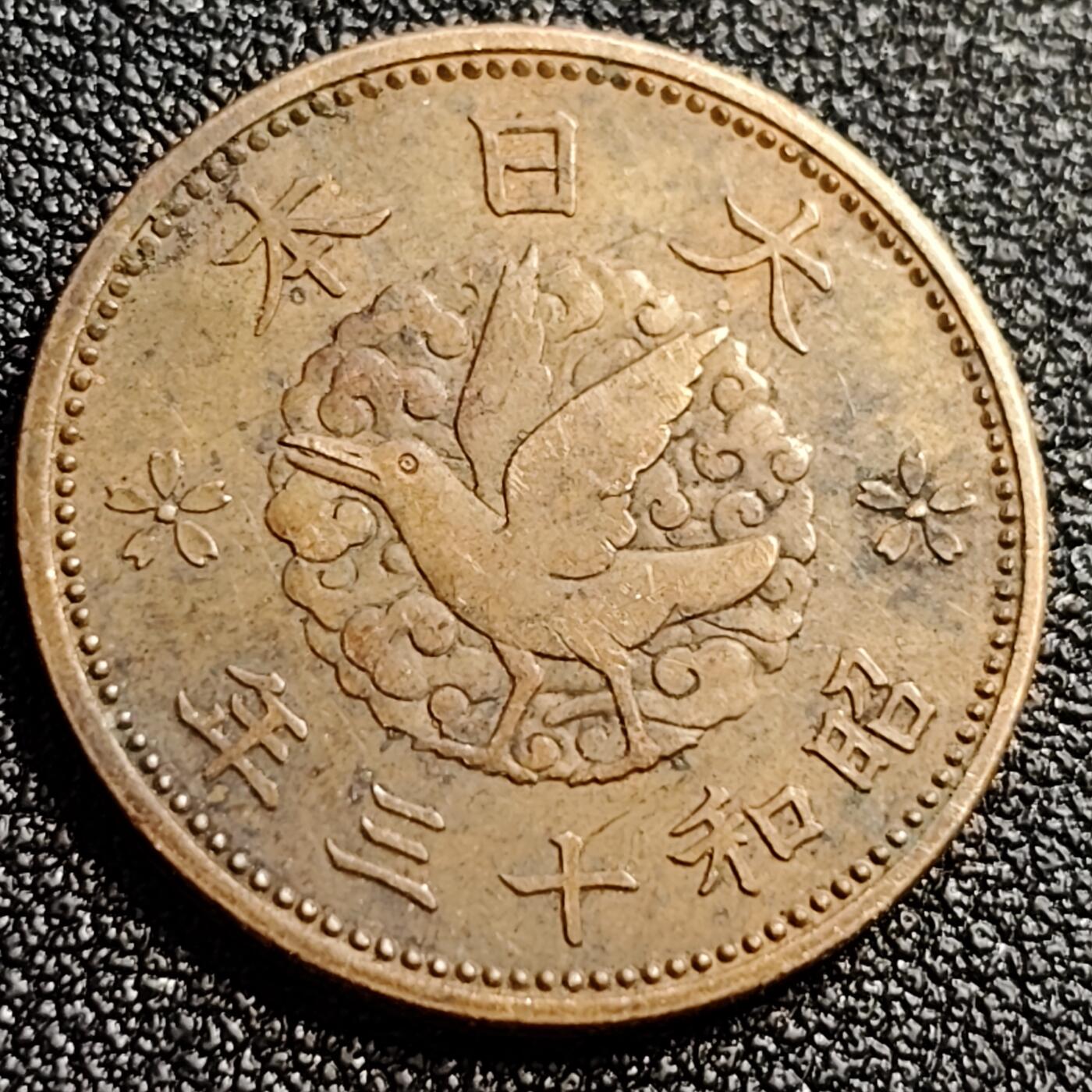 泉币菌-第107场-精品福利场 。