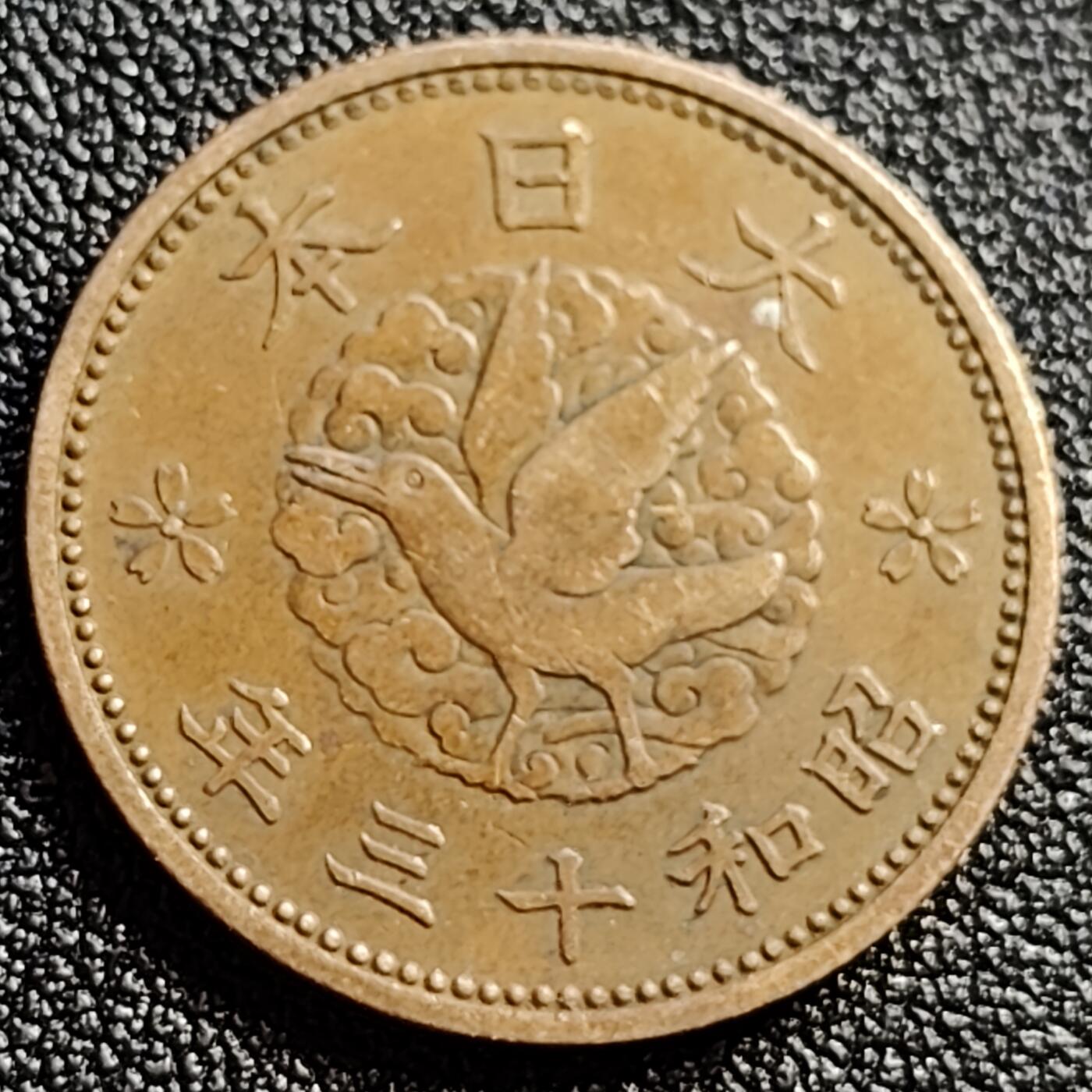 泉币菌-第108场-散币乐园场 。