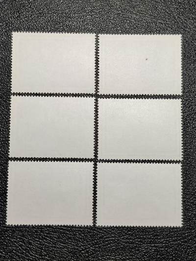 洪涛臻品批发群 精选邮票限时拍卖第1108期  T100峨眉山 新全 一个纸质点 全品