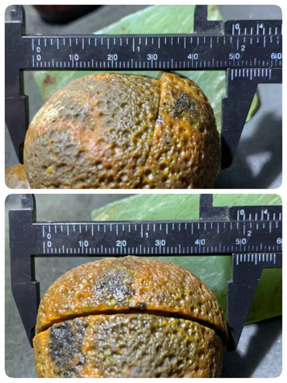 亚光原皮战国红玛瑙对切原石摆件一对