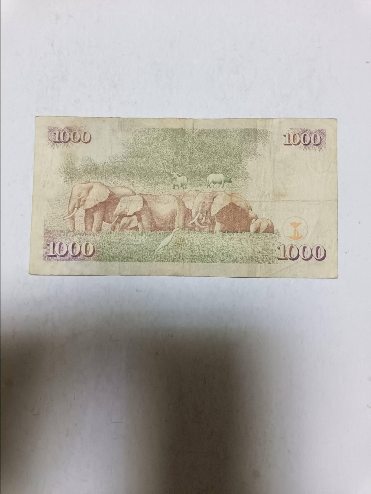 【20250916】非全新纸币第285场 肯尼亚1000先令，有裂缝，汇率价约为55元