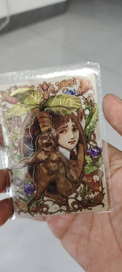 秋原瞳的小店第二十二期（持续收拍，卡游各系列最新活动卡一次看过瘾） - 卡游哈利波特活动卡