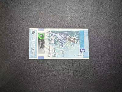 【礼羽收藏】🌏世界钱币拍卖第103期 - 2018年北爱尔兰5镑AC508350，无47，左上角有微角折，UNC，品相如图