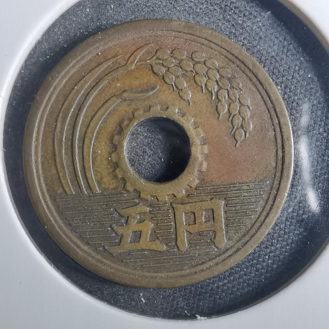 沼泽如烟--第838场