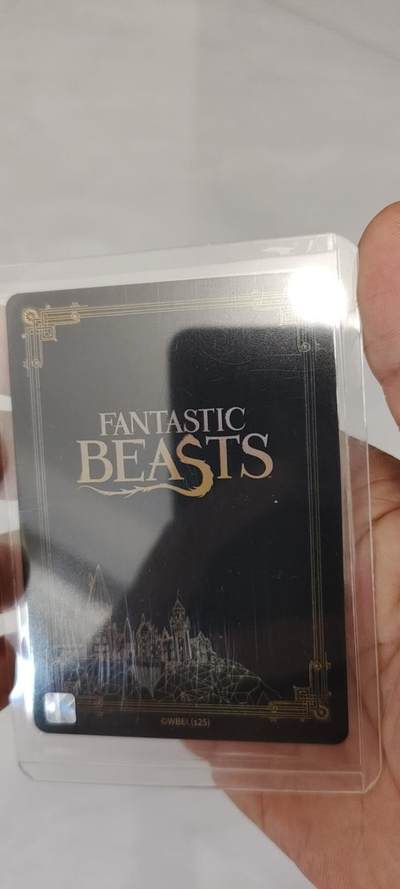 秋原瞳的小店第二十二期（持续收拍，卡游各系列最新活动卡一次看过瘾） 哈利波特sgr卡位一组2张