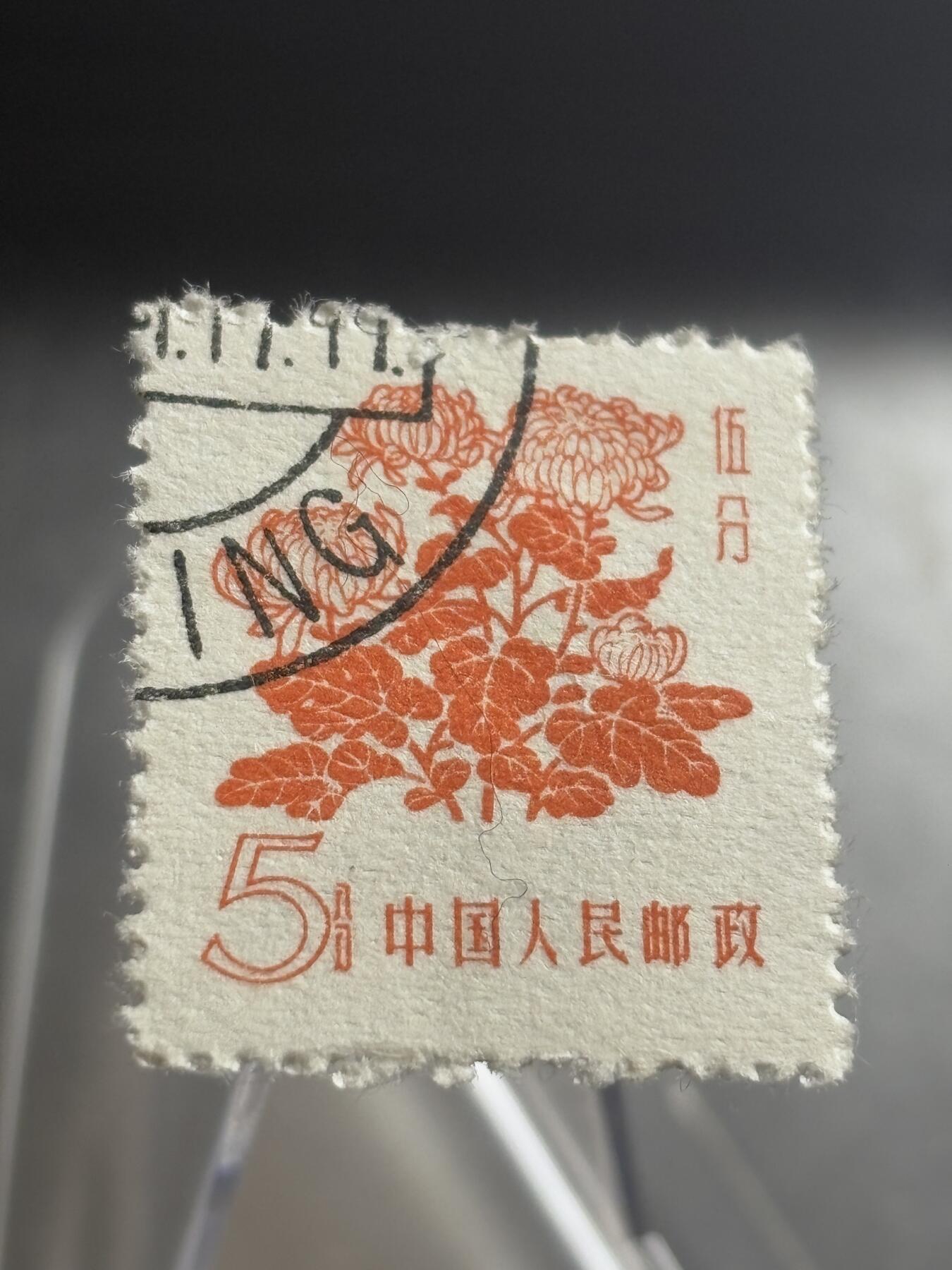 文馨钱币收藏第 271 场， 长期接收代拍品 上世纪 9.9 品花卉邮票 5分邮票 中国人民邮政