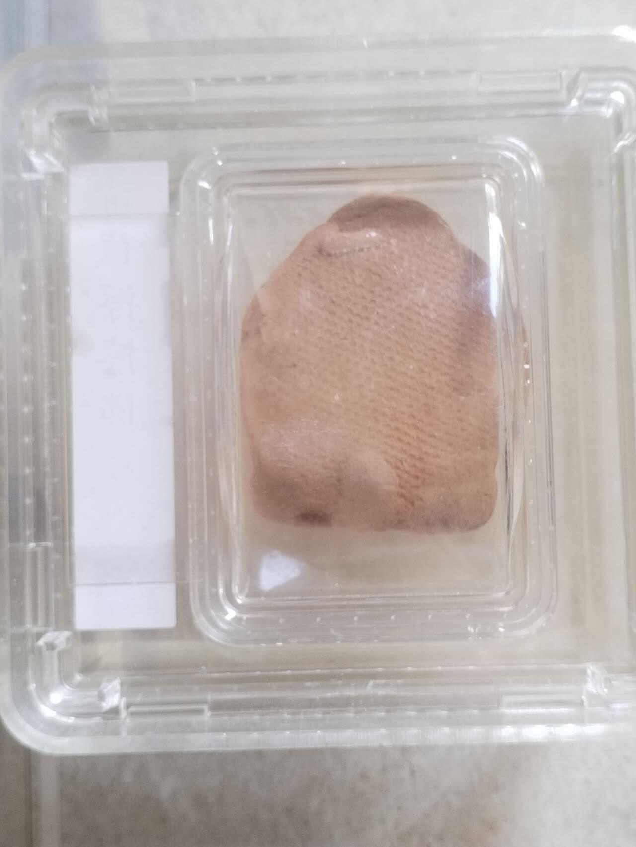 评级币 硬币 纪念币 清代擦擦佛。