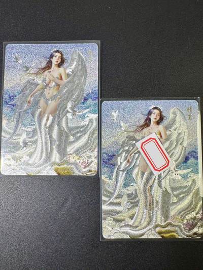 NO.9期 周末去哪爽？金牌大拍场！一站式配齐，方便凑单！（周6晚6点半截拍，卖家送拍0抽成！） - 焱卡 妖姬传 刷子 精卫 折光一对