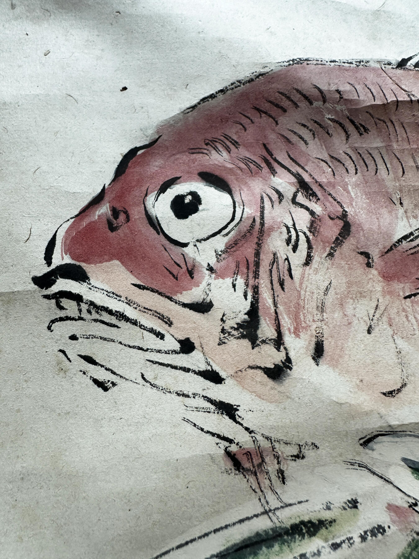 【俄甄集藏】金风送爽-2025年(042) 09-24星期三晚 19:30 全场包邮 日本明治时期水彩古画鲷鱼卷轴，高：1200mm，宽：530mm，卷轴处有老开裂，色彩明丽，栩栩如生