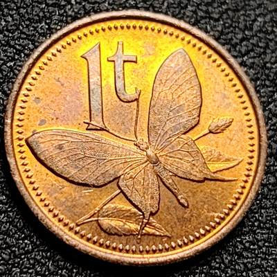 泉币菌-第109场-精品福利场 - 原铜光UNC 蝴蝶鸟翼蝶 巴布亚新几内亚1托伊 青铜币 17.6毫米2克 