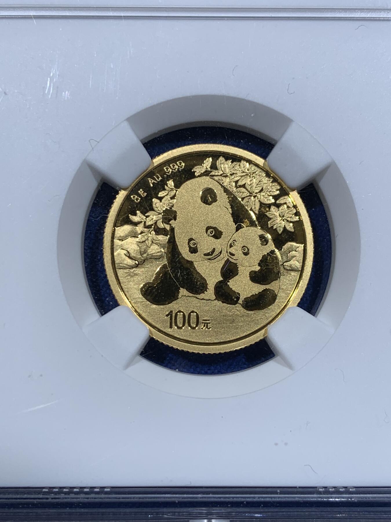 《竞宝斋》第418场 周日，周一，2场连拍 （全场包邮） NGC MS70 中国2024年熊猫8g金币 纯金 满分状态 15g评级常见，8g少见，尺寸、价格适中，适合入手