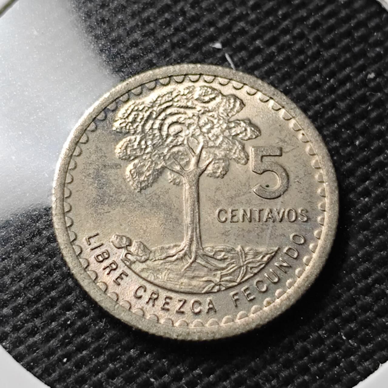 KK钱币收藏小铺 第336场 2月预留时间 周末发货 1976危地马拉5分 好品