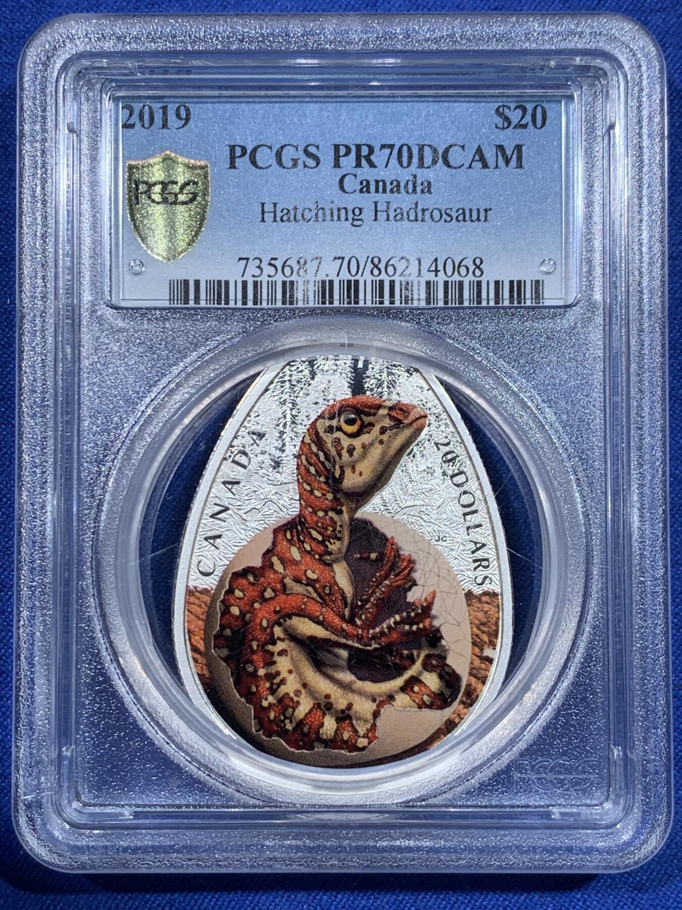 《竞宝斋》第418场 周日，周一，2场连拍 （全场包邮） PCGS PR70DCAM 加拿大2019年伊丽莎白二世-鸭嘴龙20元银币 9999银 31.82克 45×33毫米 加厚盒