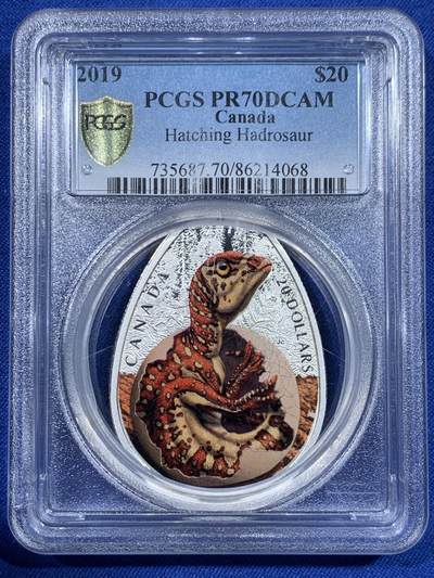 《竞宝斋》第418场 周日，周一，2场连拍 （全场包邮） - PCGS PR70DCAM 加拿大2019年伊丽莎白二世-鸭嘴龙20元银币 9999银 31.82克 45×33毫米 加厚盒