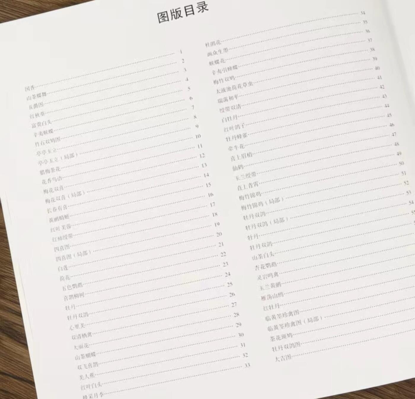中国画大师画册专场 全新正版（2） 中国画大师糸列于非闇画册 全新正版12开大版面铜版纸彩印