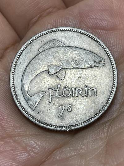 2025年第九十一场(总第一百一十七场）外国好品散币(免佣金) - 爱尔兰🇮🇪1954年1弗洛林(等值2先令，共和国时期第一套第二版，铜镍材质)