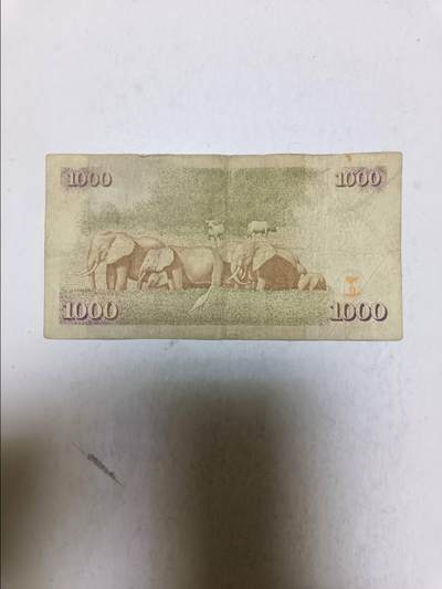 【20250918】非全新纸币第286场 肯尼亚2004年1000先令，汇率价约为55元
