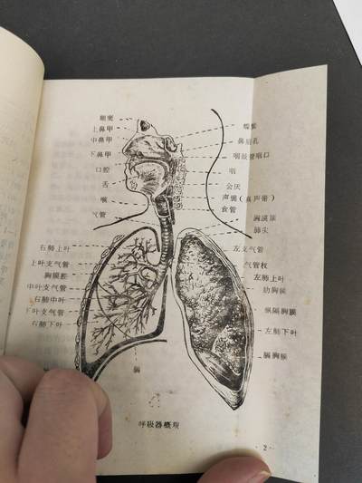 沧河堂037 1976年 四病防治