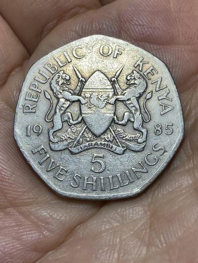 2025年第九十一场(总第一百一十七场）外国好品散币(免佣金) - 肯尼亚🇰🇪1985单年份5先令(独立后第三套流通硬币最大面值)