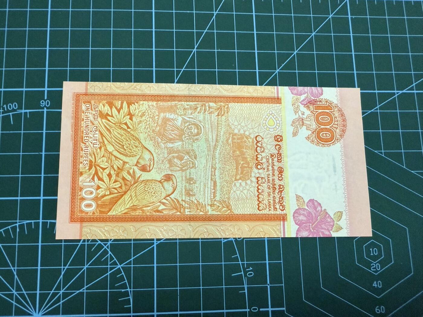 【炜奕收藏】，第四十四期