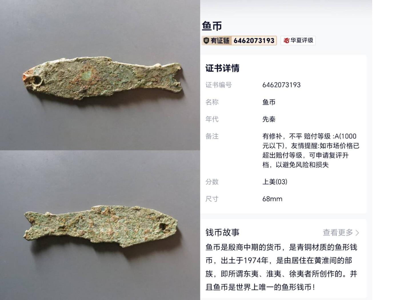 鉴定 鱼币