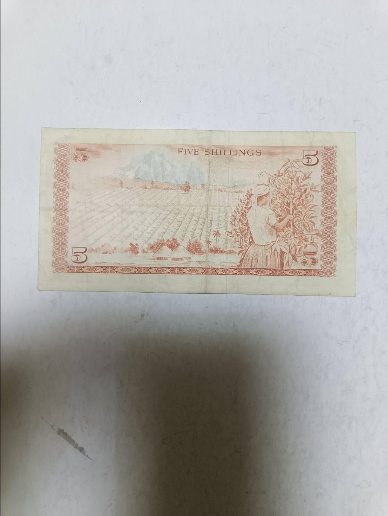 【20250918】非全新纸币第286场 肯尼亚1977年5先令