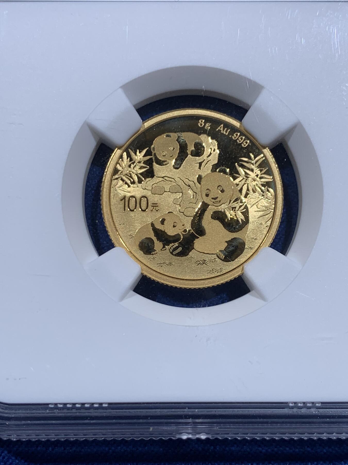 《竞宝斋》第419场 周日，周一，2场连拍 （全场包邮） NGC MS70 中国2025年熊猫8g纯金金币 满分品相 15g评级常见，8g少见，尺寸、价格适中，适合入手