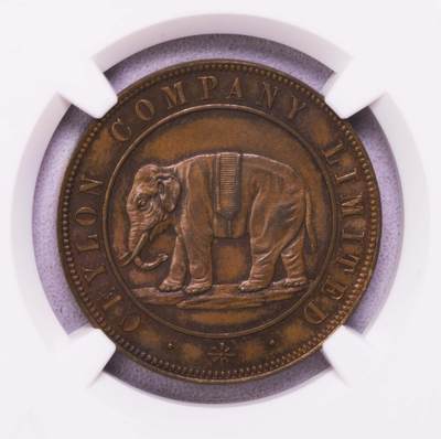 NGC-MS64BN/62BN 1866锡兰大象代用币三枚套 - NGC-MS64BN/62BN 1866锡兰大象代用币三枚套