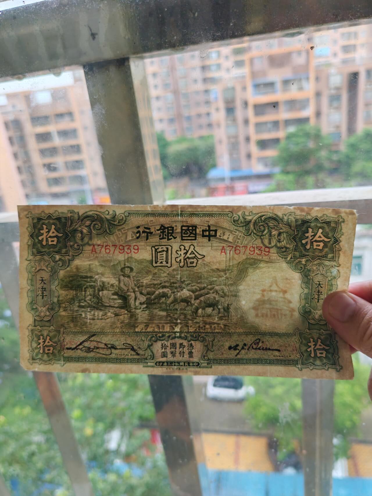 民钞36.66 有修大绵羊10元