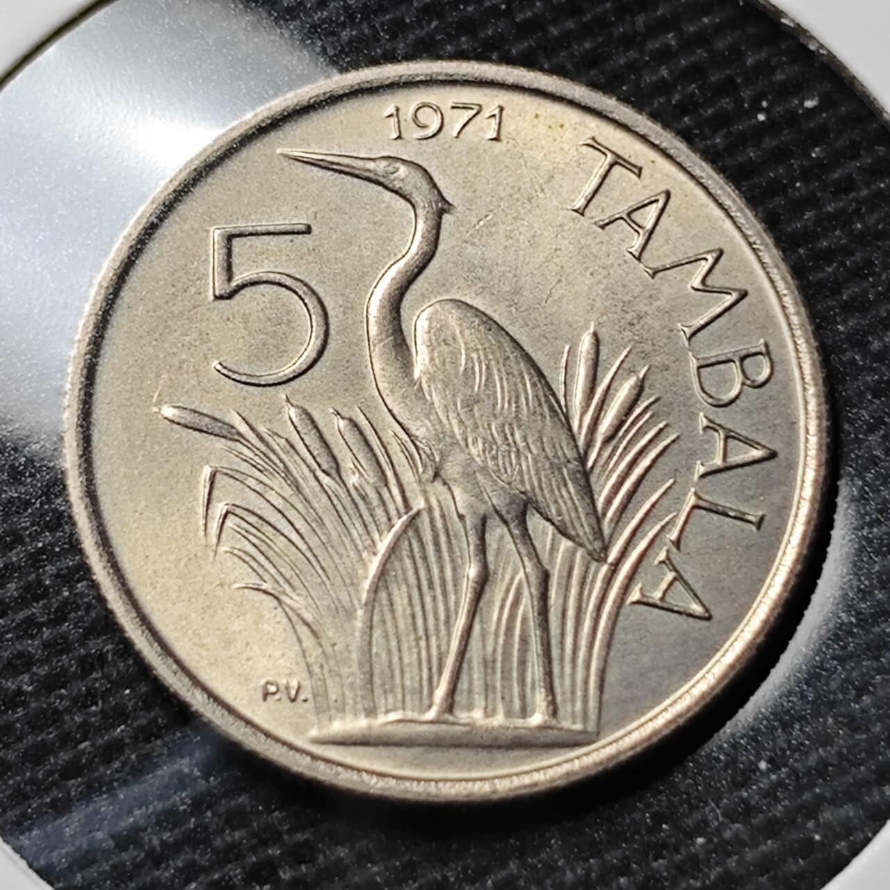 KK钱币收藏小铺 第338场 2月预留时间 周末发货  1971马拉维5坦巴拉 